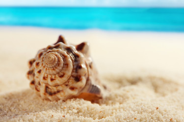 Similar image 516293