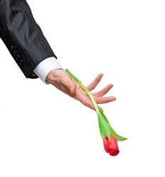 Similar image 516294