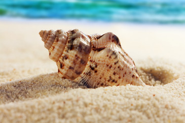 Similar image 516296