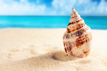 Similar image 516297