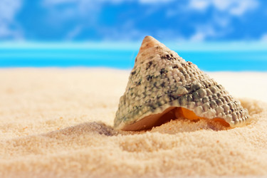 Similar image 516300