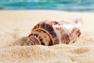 Similar image 516301