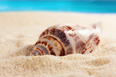 Similar image 516302