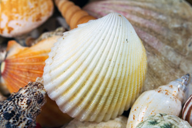 Similar image 516306