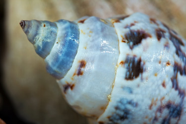 Similar image 516310