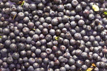 Similar image 516331