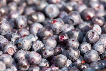 Similar image 516332