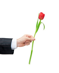 Similar image 516335