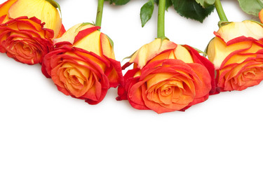 Similar image 516371