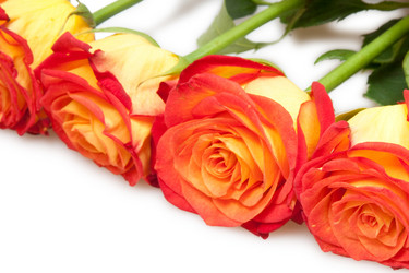 Similar image 516376