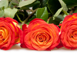 Similar image 516378