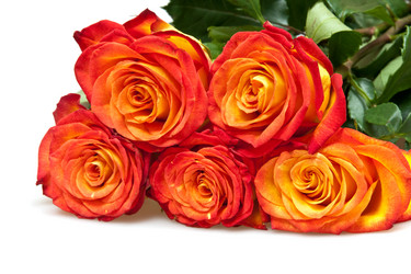 Similar image 516383