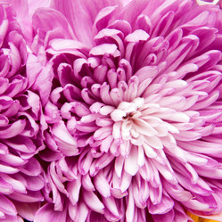 Similar image 516410