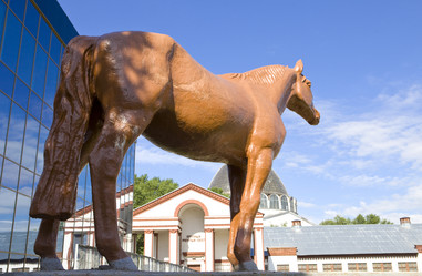 Similar image 516472