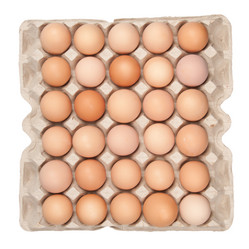 Similar image 516482