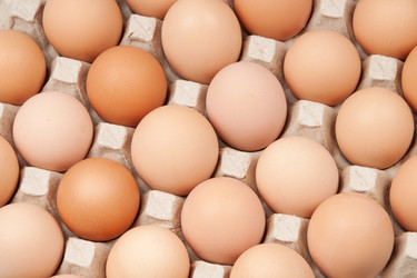 Similar image 516483