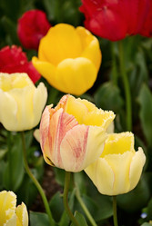 Similar image 516487