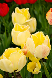 Similar image 516493