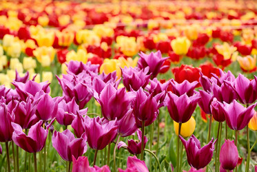 Similar image 516521