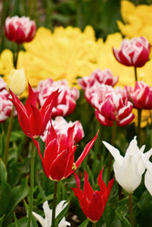 Similar image 516529