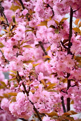 Similar image 516668