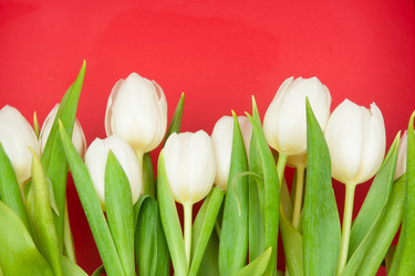 Similar image 516706