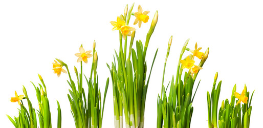 Similar image 516707