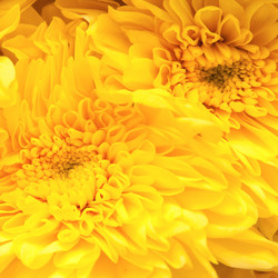 Similar image 516708