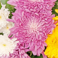 Similar image 516709