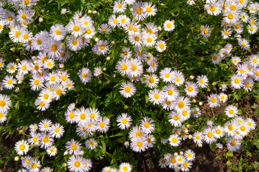 Similar image 516710