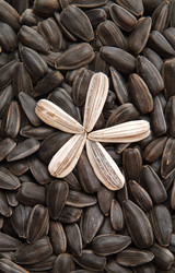 Similar image 516714