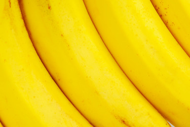 Similar image 516719