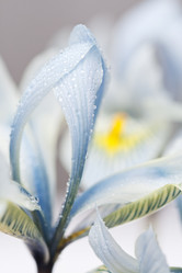 Similar image 516832