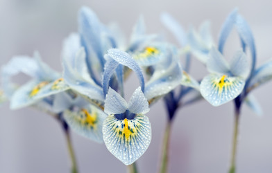 Similar image 516840