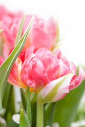 Similar image 516841