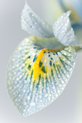 Similar image 516844