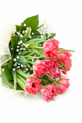 Similar image 516845