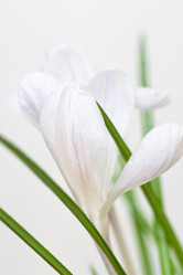 Similar image 516848