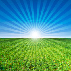 Similar image 516887