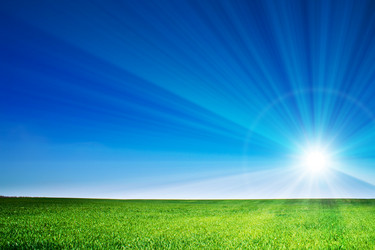 Similar image 516893