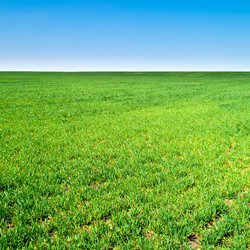 Similar image 516897