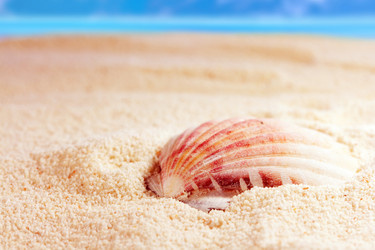 Similar image 516990