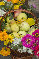 Similar image 516995