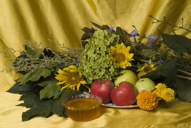 Similar image 516997