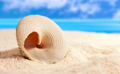 Similar image 516998