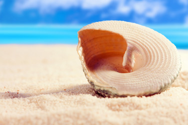 Similar image 517000