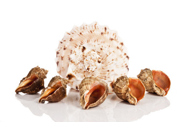 Similar image 517004