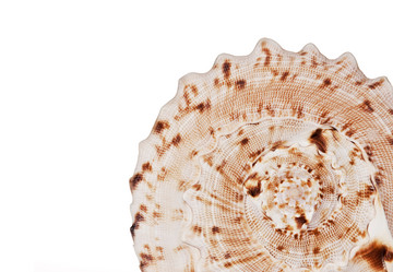 Similar image 517008