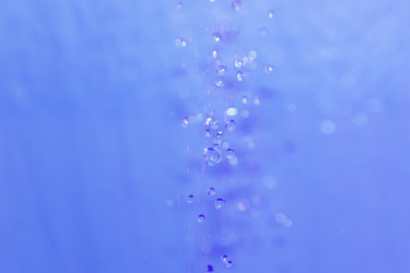 Similar image 517174