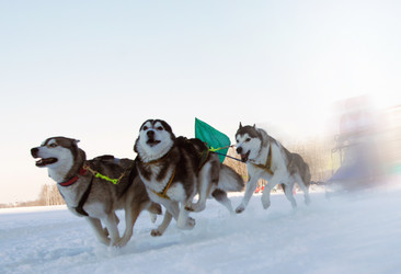 Similar image 517324